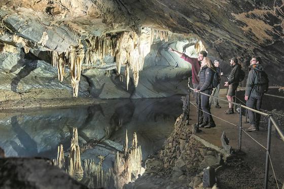 Cocoon Village - Glamping - Domaine Des Grottes De Han Rochefort Eksteriør bilde