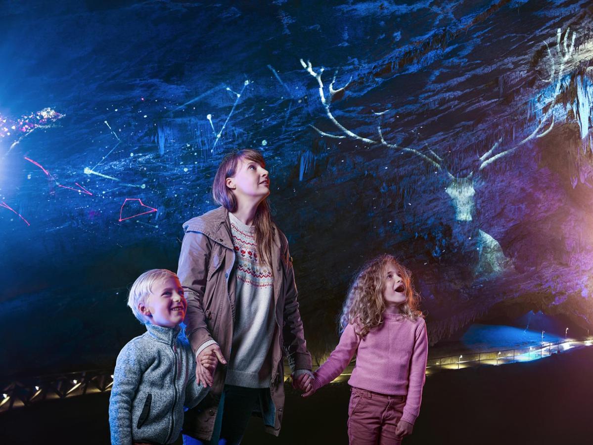 Cocoon Village - Glamping - Domaine Des Grottes De Han Rochefort Eksteriør bilde